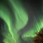 Feriehus A Pearl In Lofoten