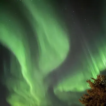 A Pearl In Lofoten *