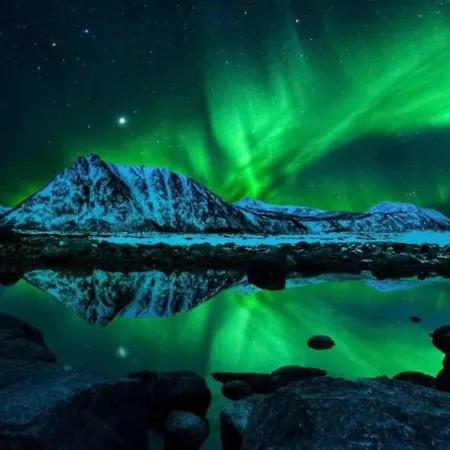 A Pearl In Lofoten بيت للعطل