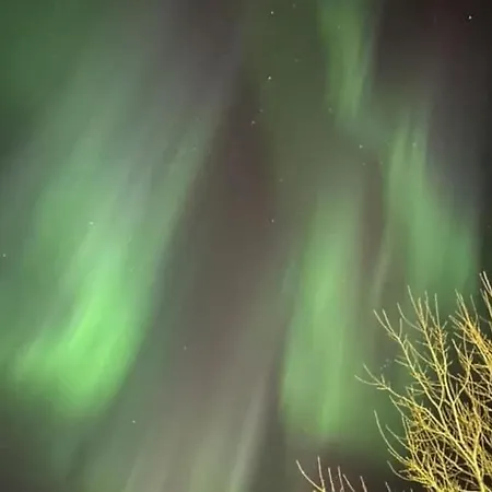 A Pearl In Lofoten *