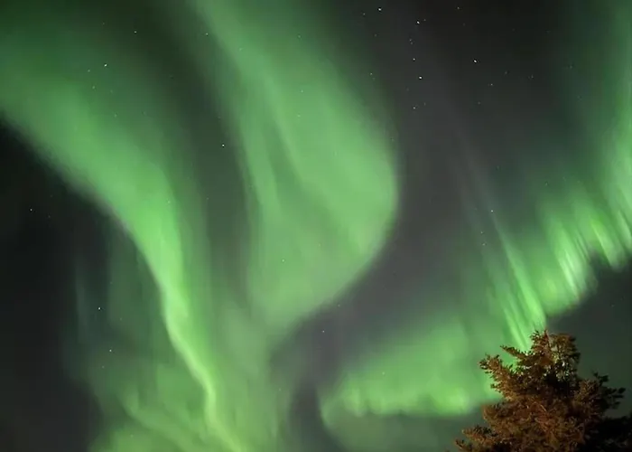 Semesterbostad A Pearl In Lofoten
