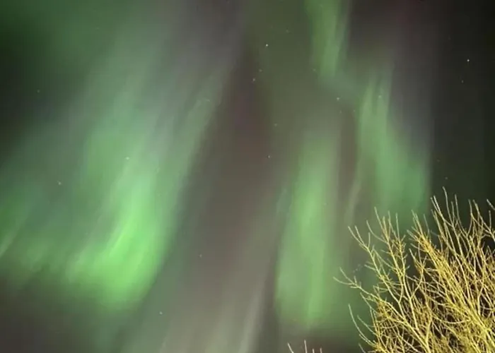 A Pearl In Lofoten * Leknes